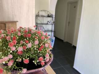 Апартаменты Apartmani Novkovic Бар Апартаменты - 1-й этаж-1