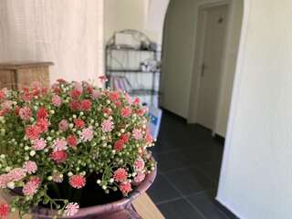 Апартаменты Apartmani Novkovic Бар Апартаменты - 1-й этаж-39