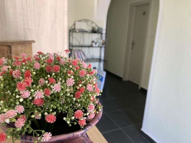Апартаменты Apartmani Novkovic Бар-18